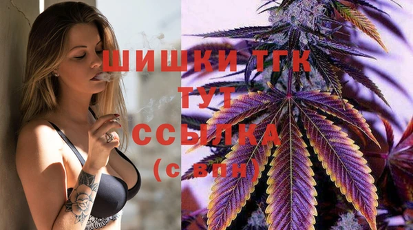 ешки Дмитров
