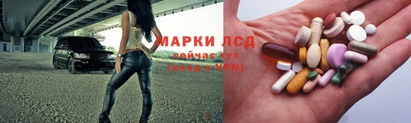стафф Дмитровск