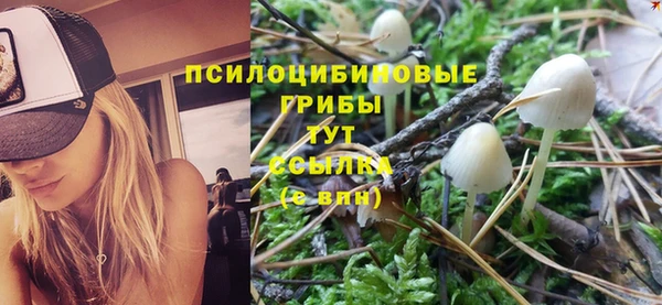 стафф Дмитровск