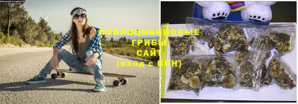 стафф Дмитровск