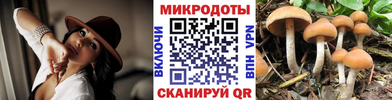 Псилоцибиновые грибы MAGIC MUSHROOMS Купить закладки Кирсанов